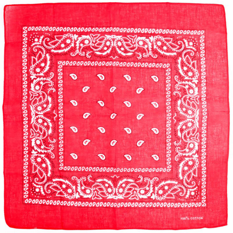 Red Paisley Bandana